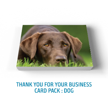 Thank You Card Pack Dog