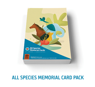 All Species Memorial Card Pack