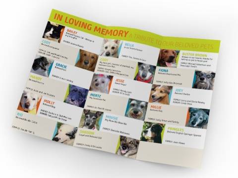 Animal News inside