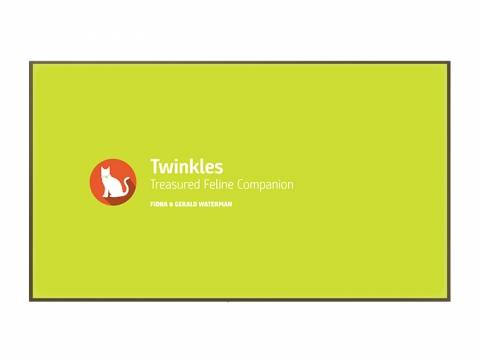 Memorial wall example cat, Twinkles