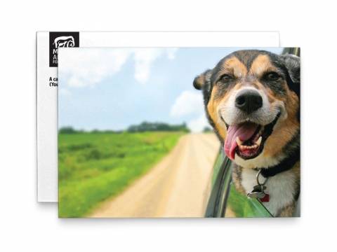 Image of front of the Dog Photo Birthday Card
