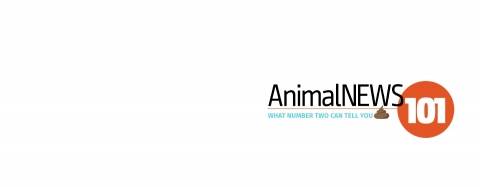 AnimalNEWS Webinar