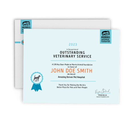 Image of vet certificate filled out 