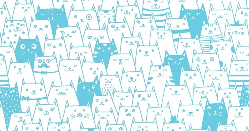 Cats